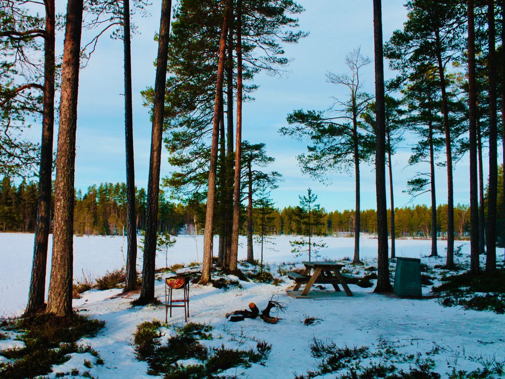 Zweden Winter Nieuw 7